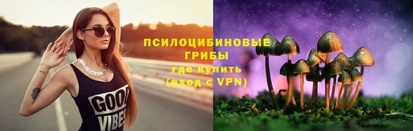 прущая мука Пересвет