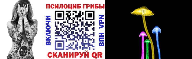 ОМГ ОМГ зеркало  Ардатов  Галлюциногенные грибы MAGIC MUSHROOMS 
